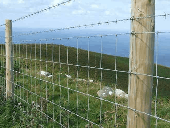 barbed-wire--horse-farm-agricultural-sager-fencing