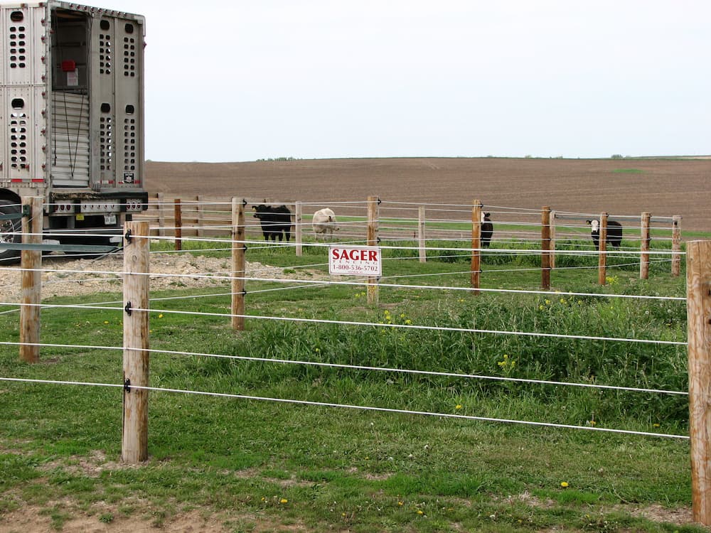 electric-horse-farm-agricultural-sager-fencing